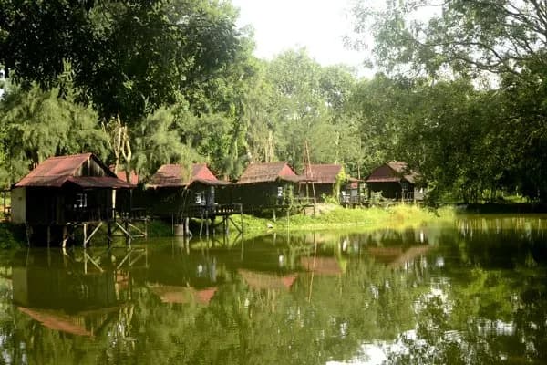 Combo Nhà trên cây – Bungalow ven suối hồ