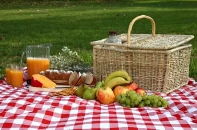 Thuê chiếu, bạt picnic