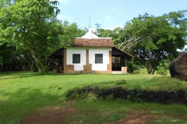 Combo Homestay nhà thôn quê