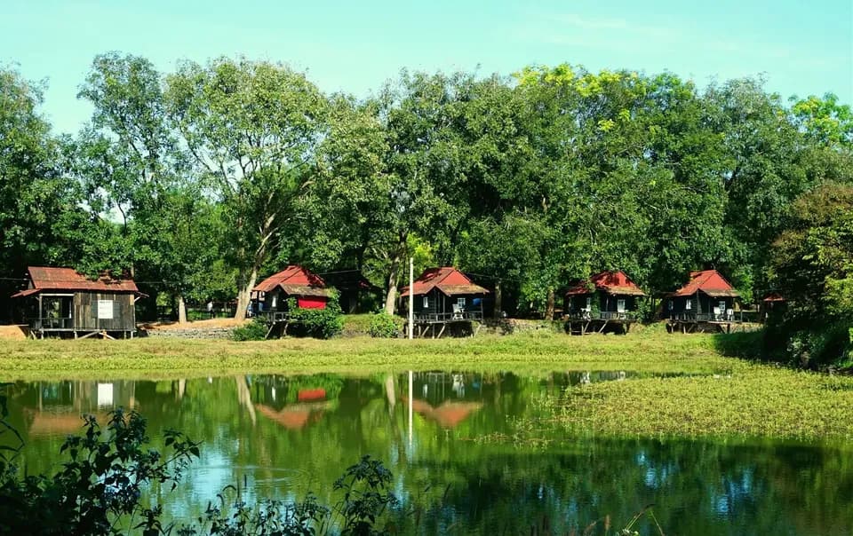 Dãy bungalow mái đỏ nhỏ xinh bên kia mặt hồ phủ lục bình