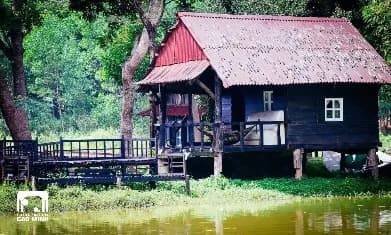 Phòng lẻ – Nhà trên cây / Bungalow ven suối hồ