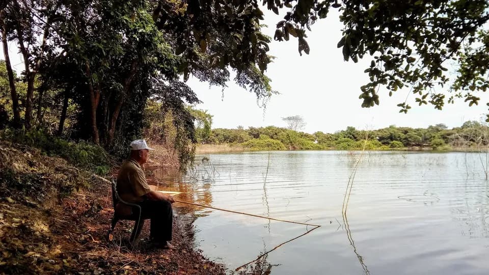 Người đàn ông ngồi câu cá bên bờ hồ