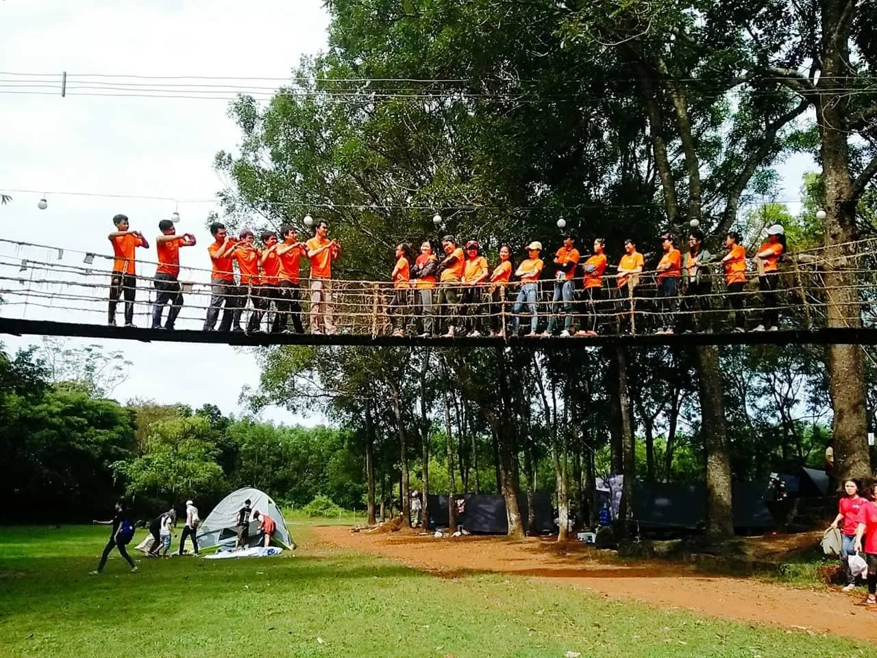 Đoàn áo cam xếp hàng trên cầu dây giữa hàng cây